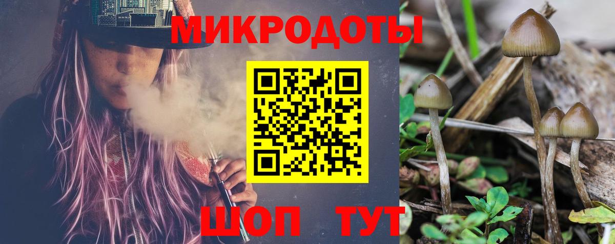 хочу   Галлюциногенные грибы Magic Shrooms  Вход с VPN  Вышний Волочёк 