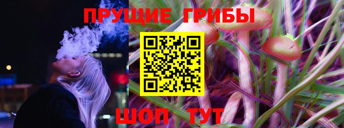 Псилоцибиновые грибы Psilocybe Вышний Волочёк